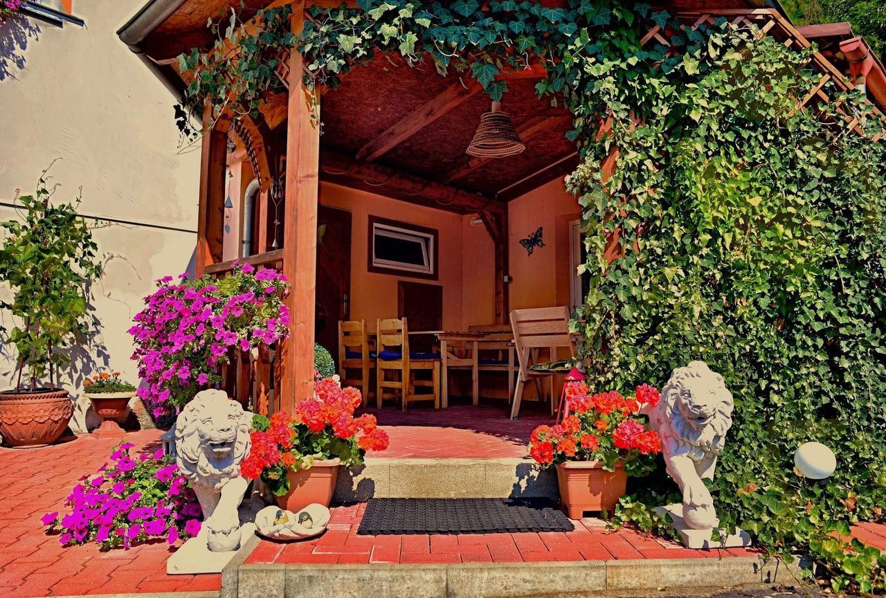 Penzion Radošov ubytování v soukromí Kyselka  Esterno foto